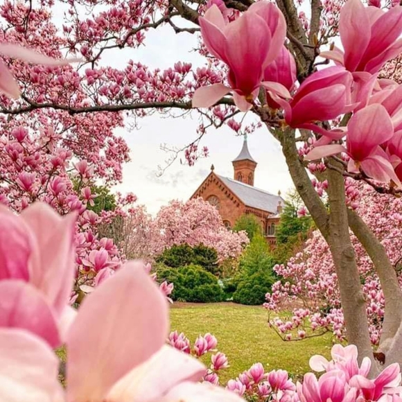 🛑PLEASE READ🛑 - Picture 7 of 11